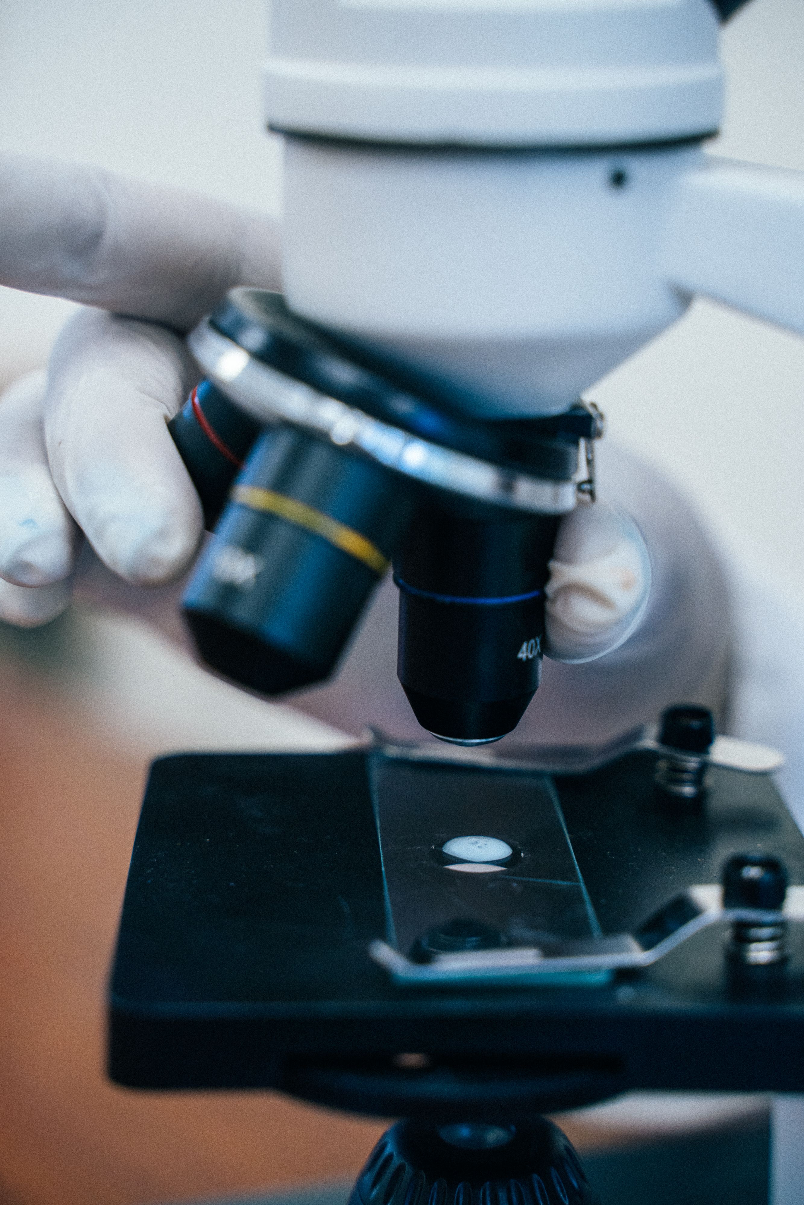 研究人员调节显微镜物镜进行医学研究